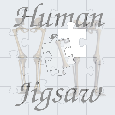 Human Jigsaw logo
